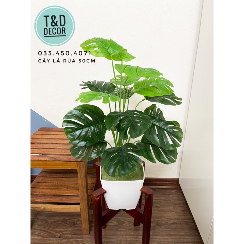 Cây giả - cây lá rùa decor 50cm