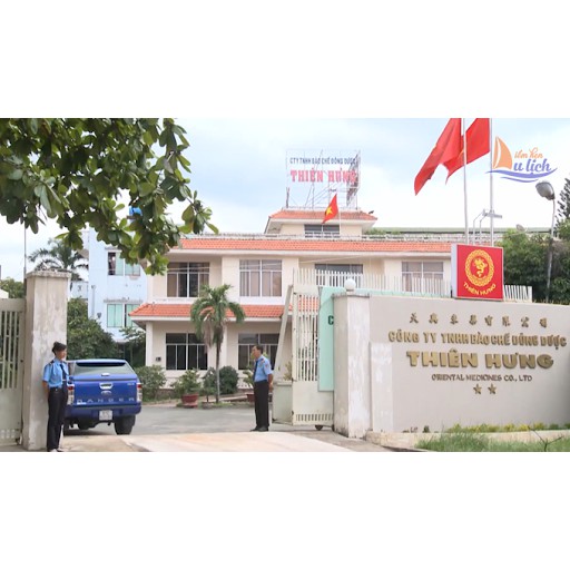 TRUY PHONG HOÀN  –Hỗ trợ điều trị cảm mạo, ho đờm, sổ mũi - PHẠM THIÊN LONG (10 viên)