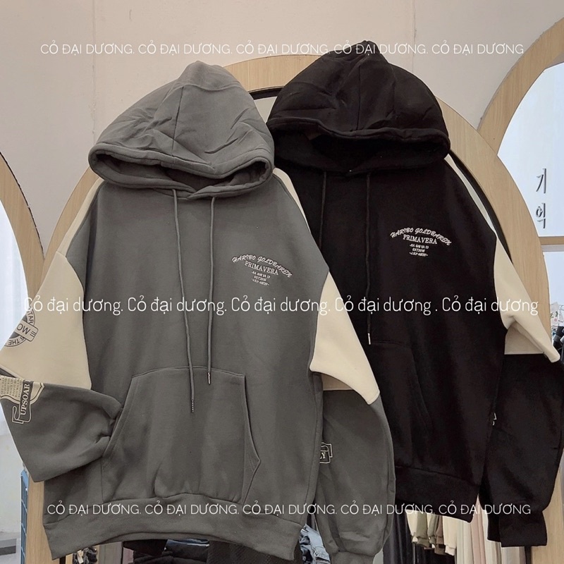 Áo nỉ hoodie goldbaren