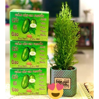 Trà Bí Đao 10 gói Handmade
