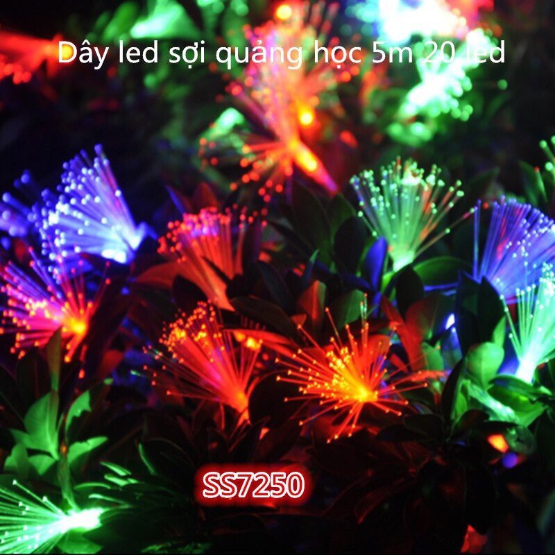 Đèn dây led sợi quang hoc 220v 5m 20 led