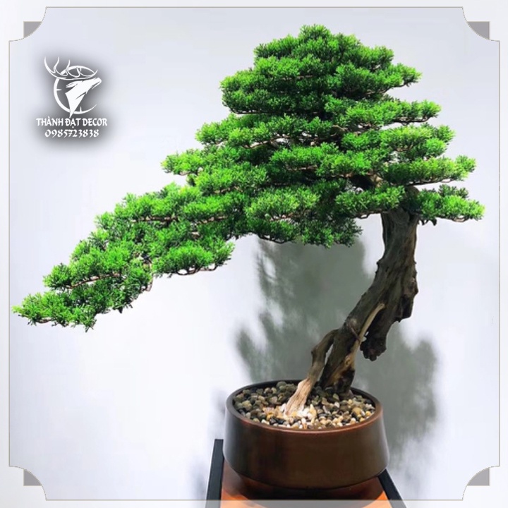 Cành Cây Lá Bách, lá Tùng Bằng Nhựa KT 15x36cm , Dùng Trang Trí Cây Cảnh, Lũa bonsai Tiểu Cảnh, Hồ Cá Thủy Sinh