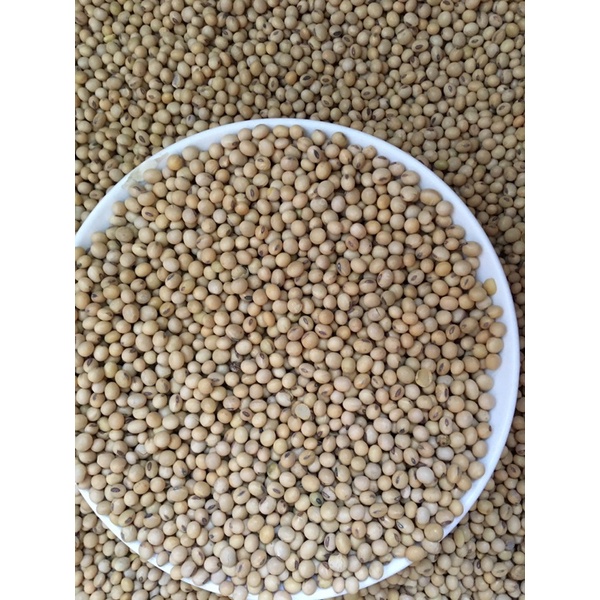 đậu nành đà lạt, đỗ nành , đậu nành sạch giá rẻ 1kg
