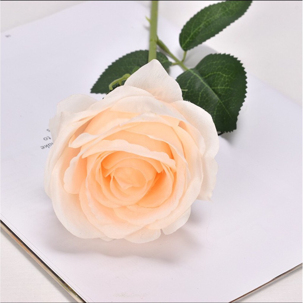 Sỉ Cành Hồng Nhung Cao Cấp 60cm hoa 10cm-Hn0