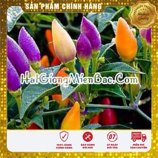 -18k Combo sản phẩm vụ thu - đông