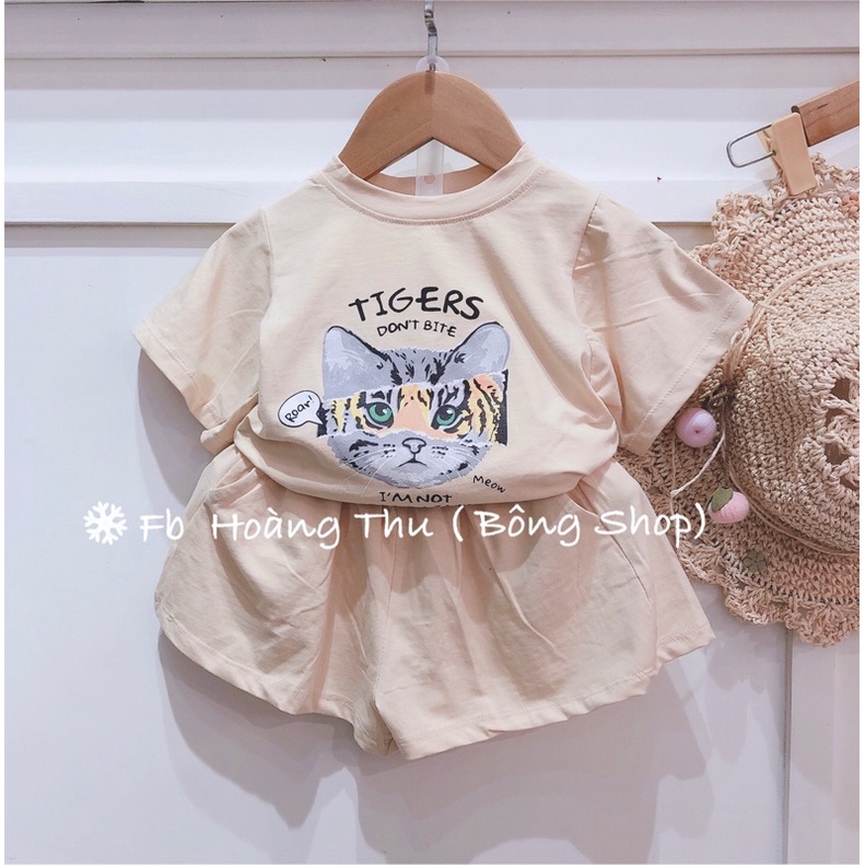 Bộ mèo cho bé gái