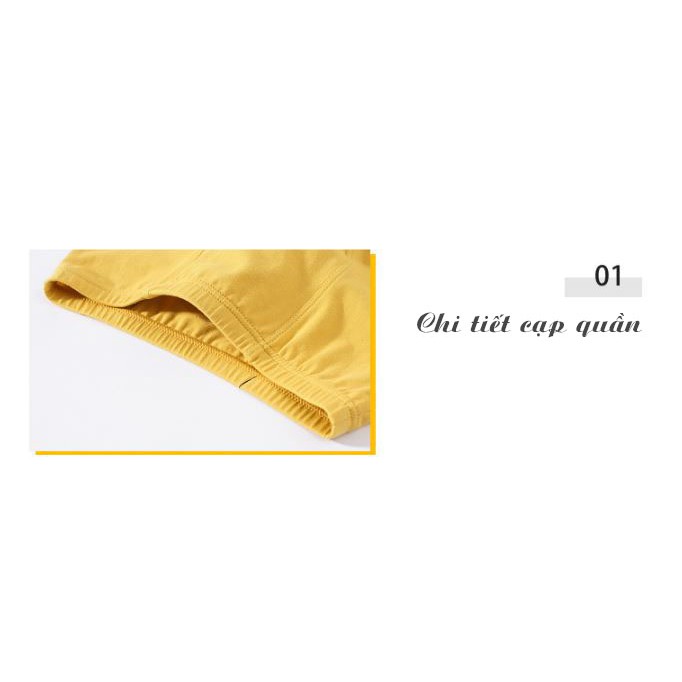 🌿🌿 SET 5 quần lót bé trai CAO CẤP quần chip đùi cho bé, Quần sịp bé trai chất cotton hàng xuất khẩu