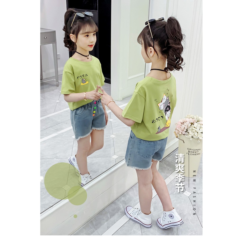 Áo phông bé gái size đai từ 20 -50kg họa tiết 5 chú mèo đáng yêu AH01