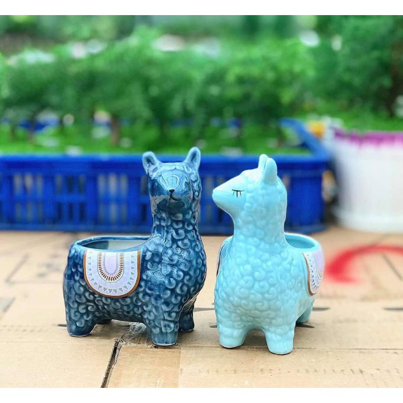 Chậu sứ mini hình chú nay