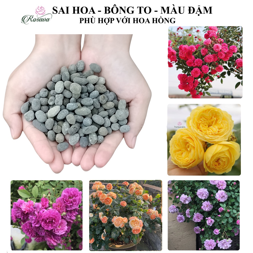 Phân dê hữu cơ vi sinh ROSAVA đã qua xử lý trồng lan, bón hoa hồng, giấy, sen đá, cây cảnh, dâu tây, rau