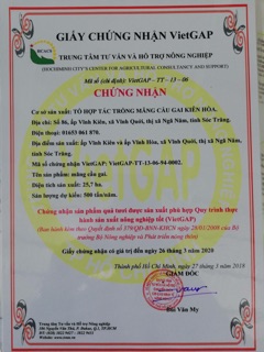 Trà mãng cầu cẩm thiều