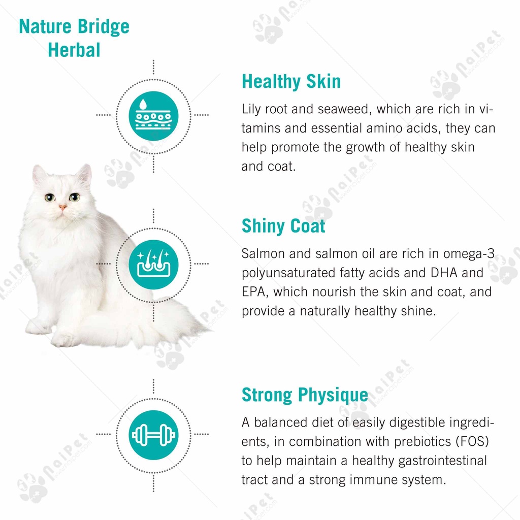Thức Ăn Hạt Cho Mèo Nature Bridge Classic 1.5kg