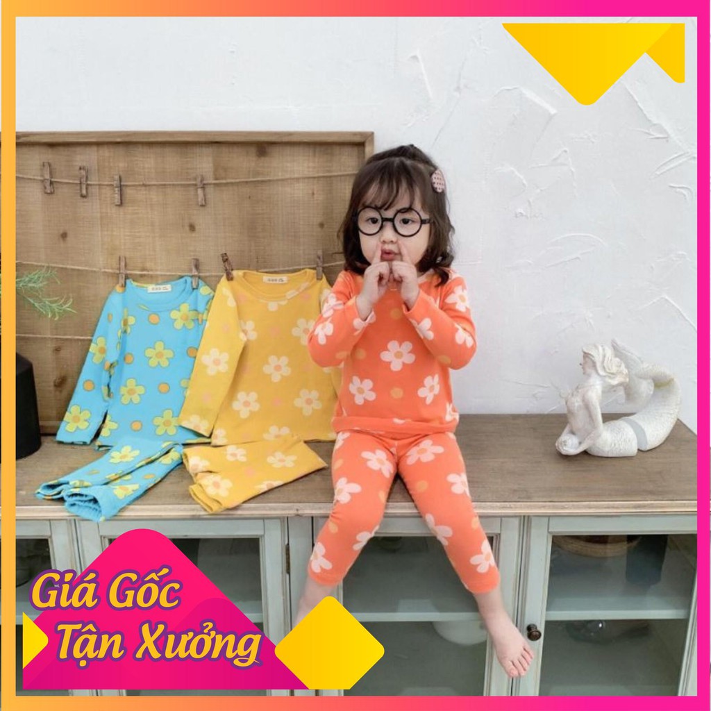 BỘ HOA CÚC DÀI TAY CHO BÉ