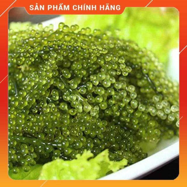 RONG NHO TRƯỜNG THỌ 1 GÓI