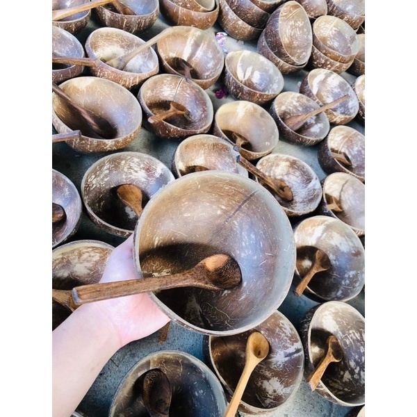 Combo Chén / Bát Gáo Dừa Muỗng Gỗ Dừa Siêu Cưng