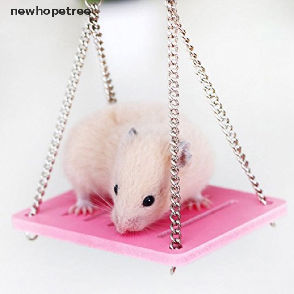 Xích Đu Đồ Chơi Bằng Gỗ Nhiều Màu Sắc Siêu Thú Vị Dành Cho Chim Vẹt / Chuột Hamster