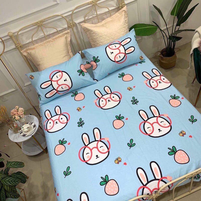 Vỏ Chăn Có Khoá Kéo Cotton Poly 2m2 x2m