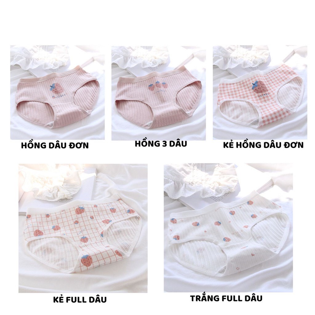 Quần Lót Nữ - Quần Lót Nữ Set Cotton gân tăm Dâu hồng cạp chun thiết kế mềm mại thoáng mát DAN STORE MÃ A292