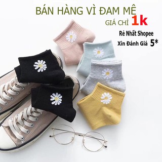 Tất Cổ Ngắn Tất gấu Brown 10 màu tất nữ đáng yêu