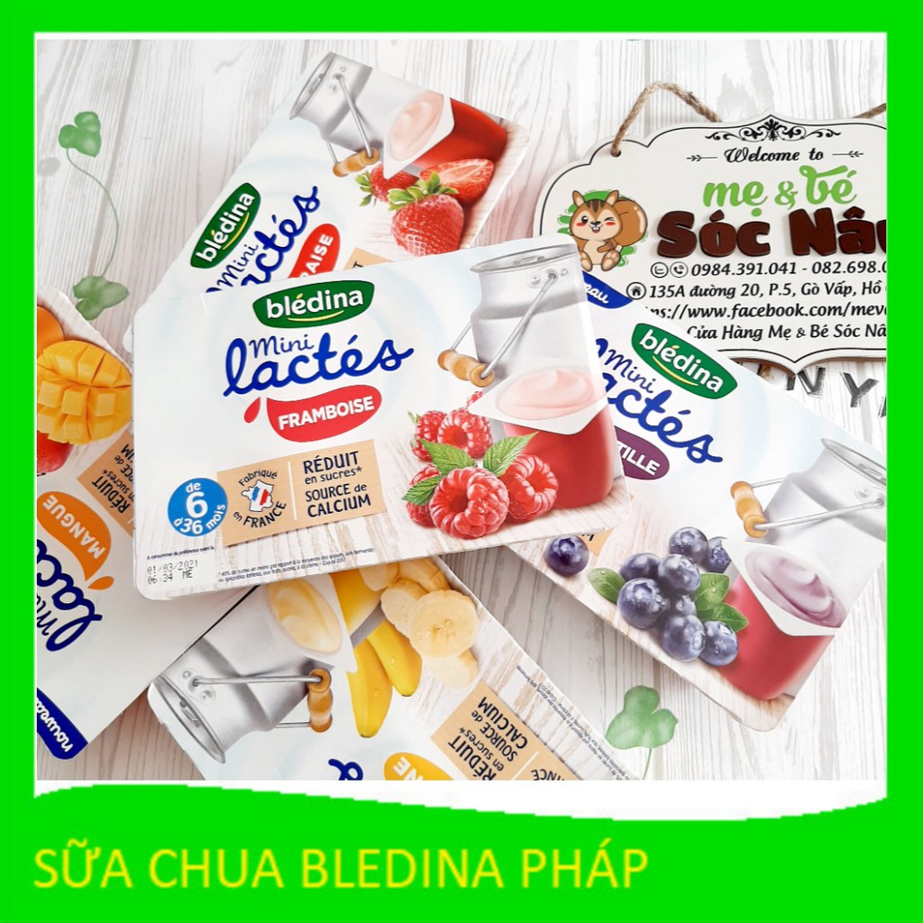 [Lẻ 1 hộp] Sữa chua nguội Bledina Pháp DATE 02/2021