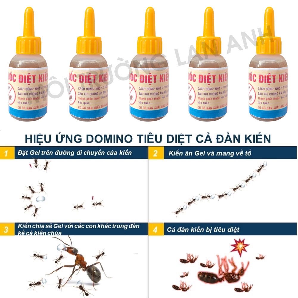 Thuốc diệt kiến - diệt gián sinh học HGO-KG hiệu quả 100% an toàn diệt tận gốc côn trùng, an toàn cho sức khỏe