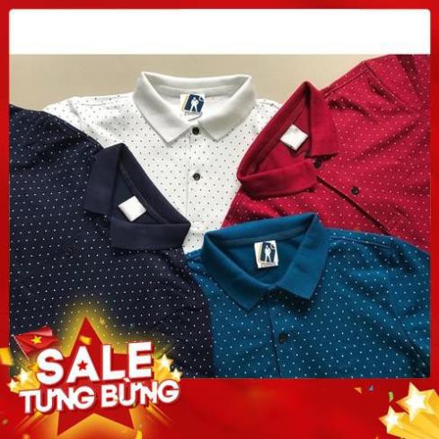 ÁO THUN POLO NAM, ÁO PHÔNG NGẮN TAY CÓ CỔ CHẤT ĐẸP, HỌA TIẾT CHẤM BI - Hàng nhập khẩu . .