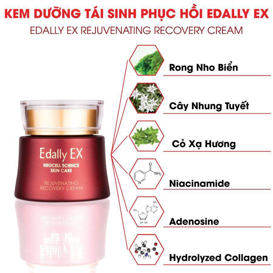 Kem Dưỡng Tái Sinh Phục Hồi Da Edally EX 50ml