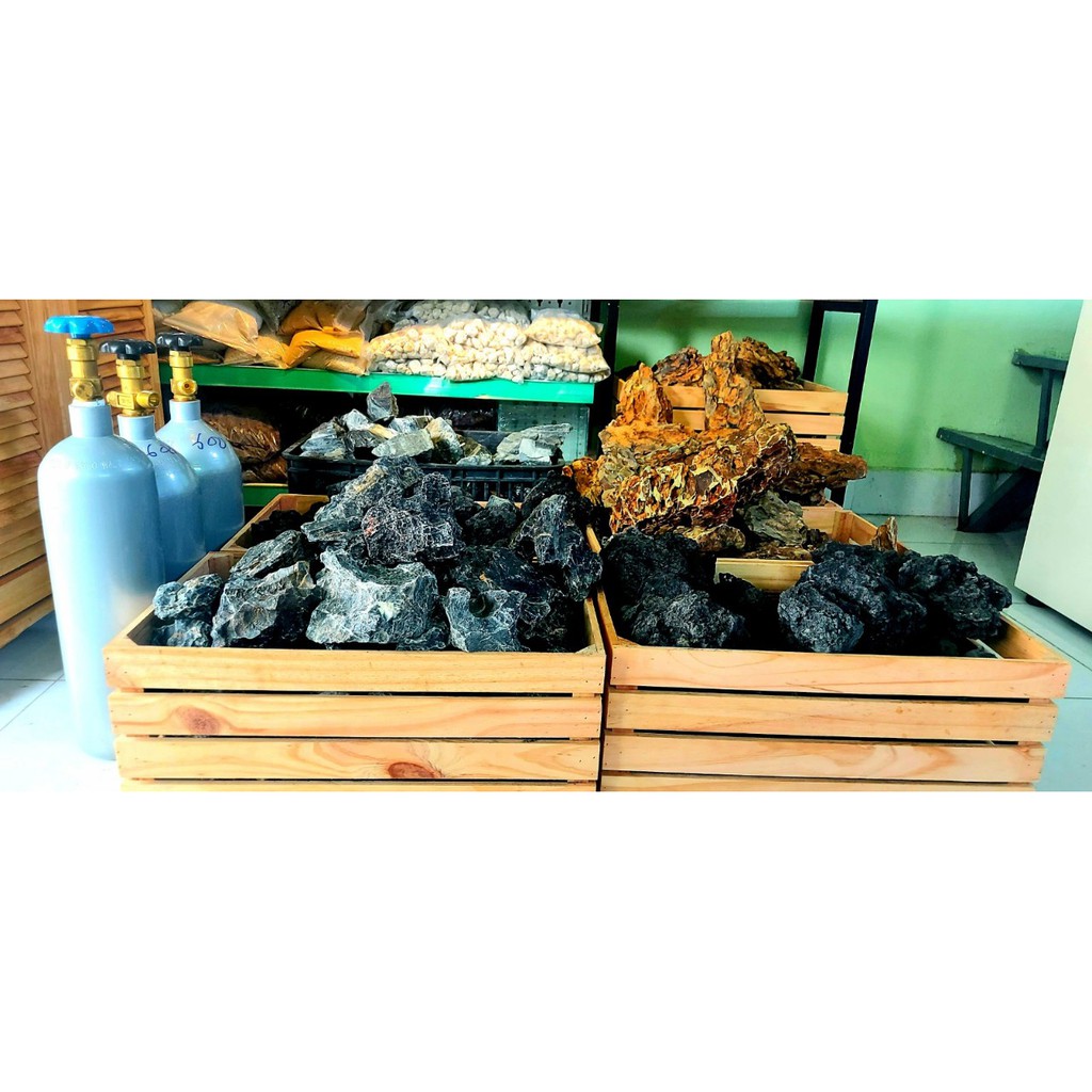 Đá đen Gia Lai  - Setup Bể Thuỷ Sinh hàng Đẹp Siêu Vân đủ Size