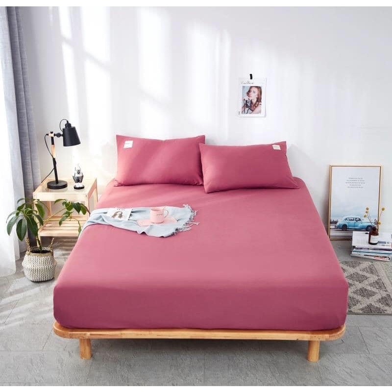 Ga chun trải đệm Cotton Tici ( không kèm vỏ gối), drap nệm bo chun đủ kích thước chất Cotton mềm mát. | BigBuy360 - bigbuy360.vn