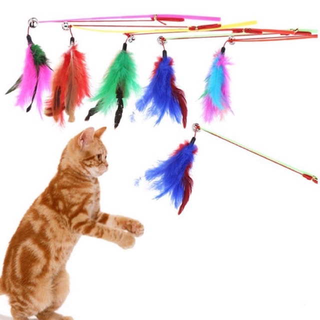 Cần câu lông vũ đồ chơi cho chó mèo cưng siêu đẹp