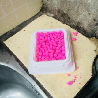 DIỆT CHUỘT THÔNG MINH NHẬT BẢN
