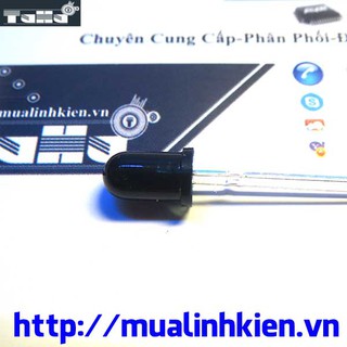 Led Thu Hồng Ngoại Phi 5MM
