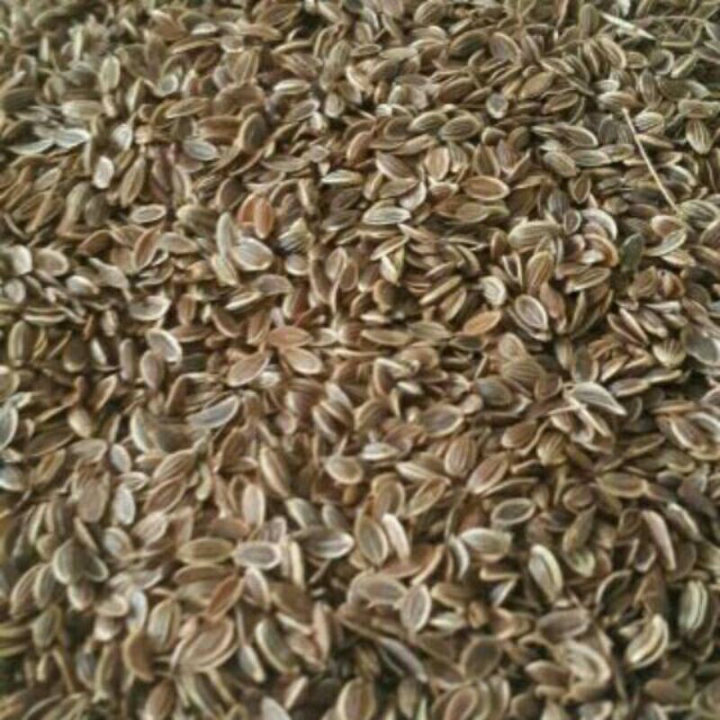 1kg hạt thìa là thì là