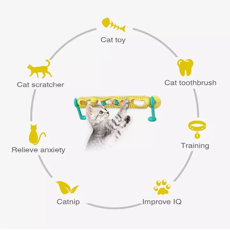 Đồ chơi cho mèo. Hộp banh đa năng vui nhộn  Huấn Luyện Thú Cưng - Tư Duy - Thông Minh Lanh Lợi