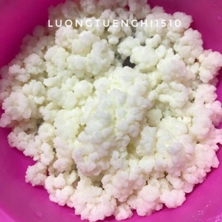 Nấm sữa kefir