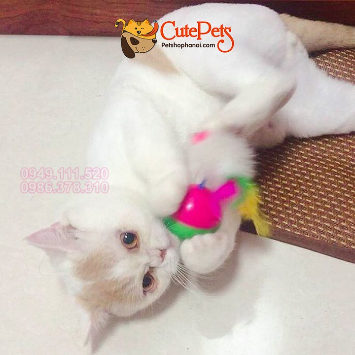 Đồ chơi cho mèo bóng lật đật gắn chuột lông cho mèo vời - Cutepets