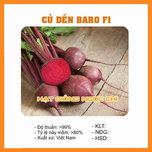 Hạt Giống Củ Dền BARO F1 (Đỏ) - 2Gr