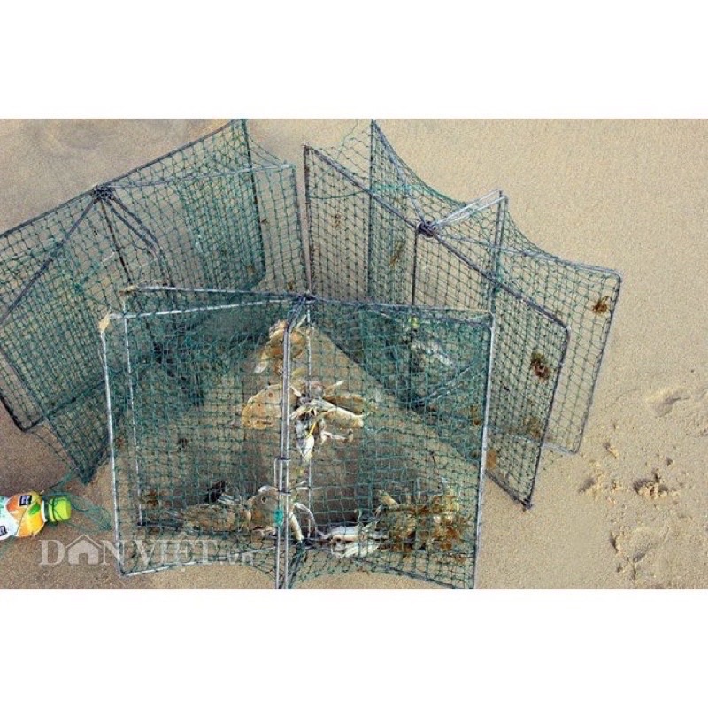 lồng bẫy cua ghẹ - dập bẫy cua khung lưới siêu bền mắt 2cm