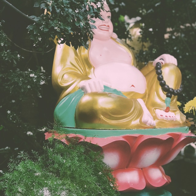 Nhà tạp hoá 1984
