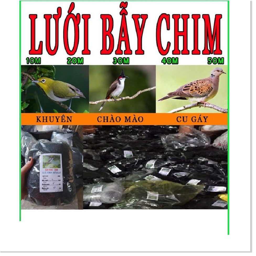 Lưỡi Bẫy Chim | lưới bẫy chim tàng hình | lưới bây chim khuyên sâu sẻ gi sáo cu gáy chích chòe chào mào vẹt....