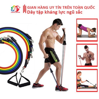 Dây ngũ sắc tập gym, dây kháng lực tập gym ngũ sắc thể hình đa năng tại nhà chất liệu cao su siêu bền