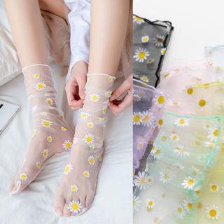 Tất lưới xuyên thấu họa tiết hoa cúc 7 màu tùy chọn