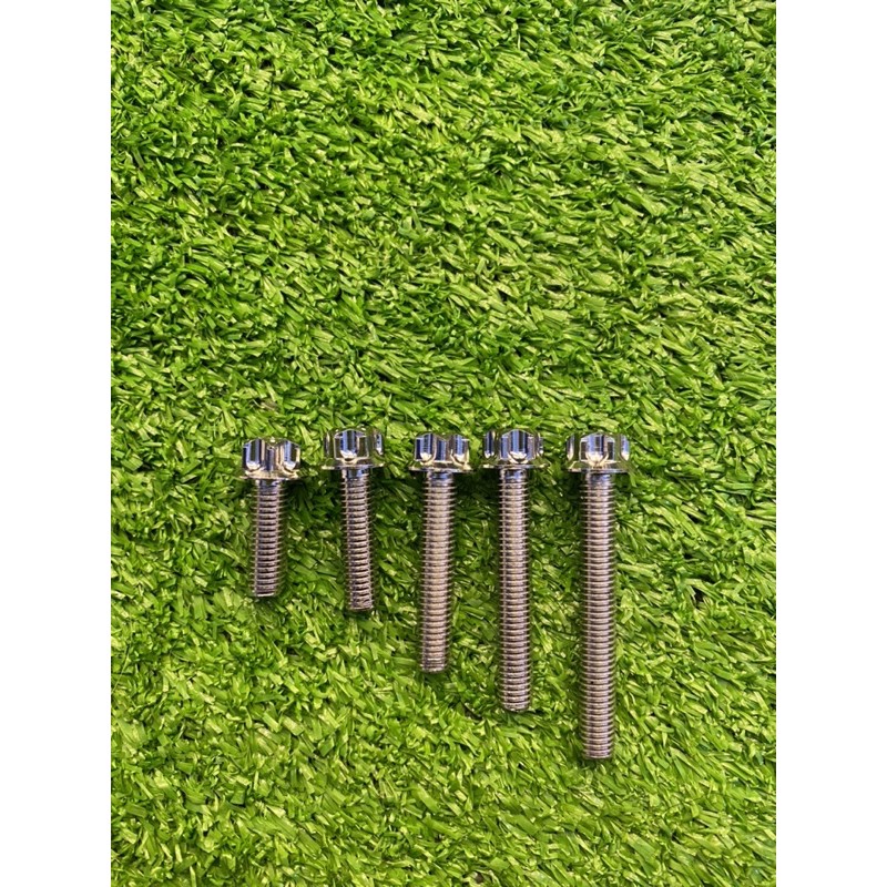 Ốc salaya các size thông dụng