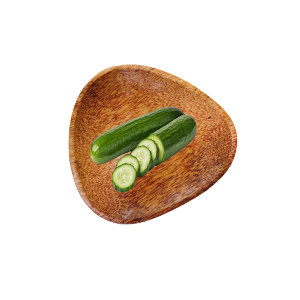 Dĩa tam giác gỗ dừa OHI@MA