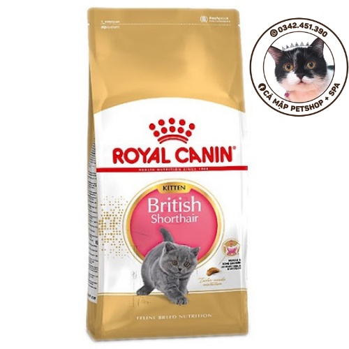 Hạt cho mèo Anh Lông Ngắn Royal Canin British Shorthair