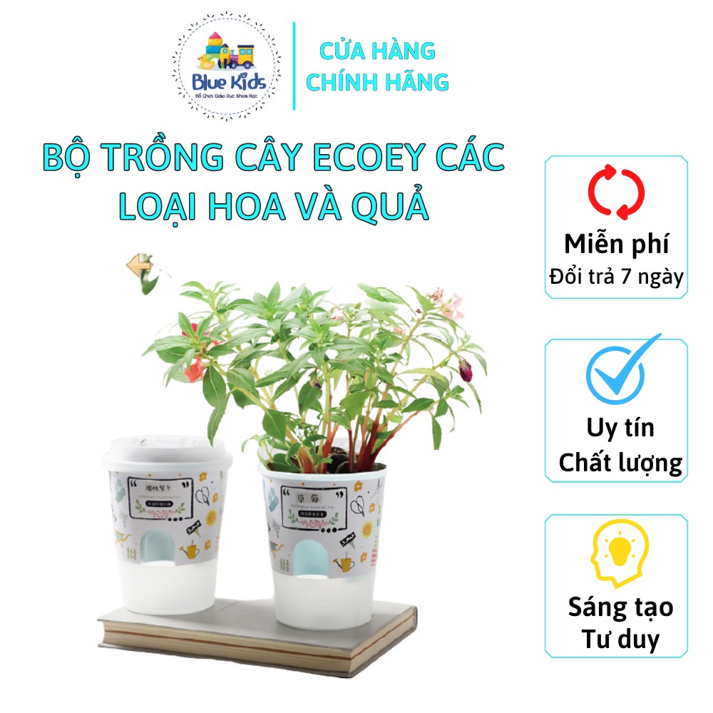 Đồ chơi giáo dục Ecoey Sinh Học tự làm chậu trồng cây các loại hoa và quả, kèm hạt giống và đất