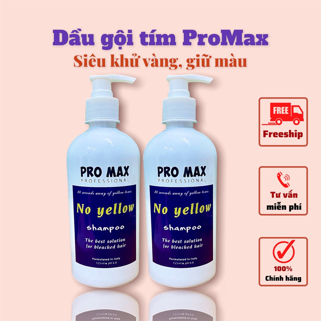 Dầu gội tím Promax, dầu gội khử vàng và giữ màu dành cho tóc tẩy nhuộm màu thời trang | Shop Hair