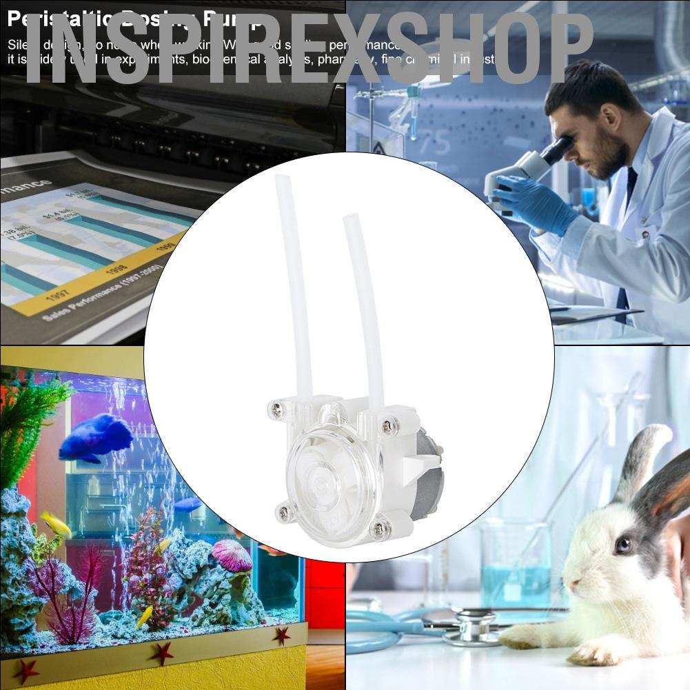 Inspirexshop  Garden 6V Mini Peristaltic Liquid Pump DIY Dosing Hose for Aquarium Lab Analysis