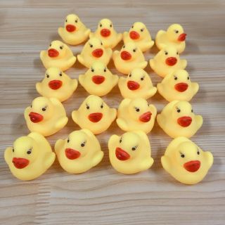Vịt con kêu chút chút đáng yêu