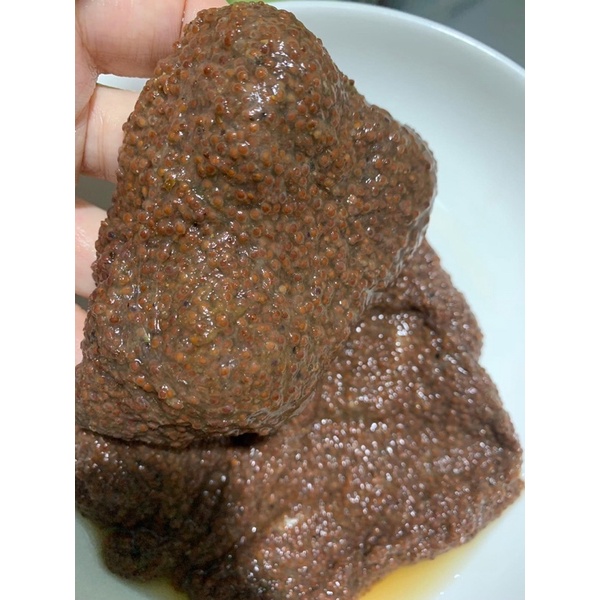 NẠ HẠT KIM ĐÌNH KIMNATURAL